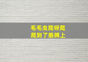 毛毛虫爬呀爬 爬到了胳膊上